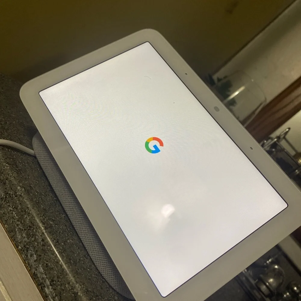 Google home nest
